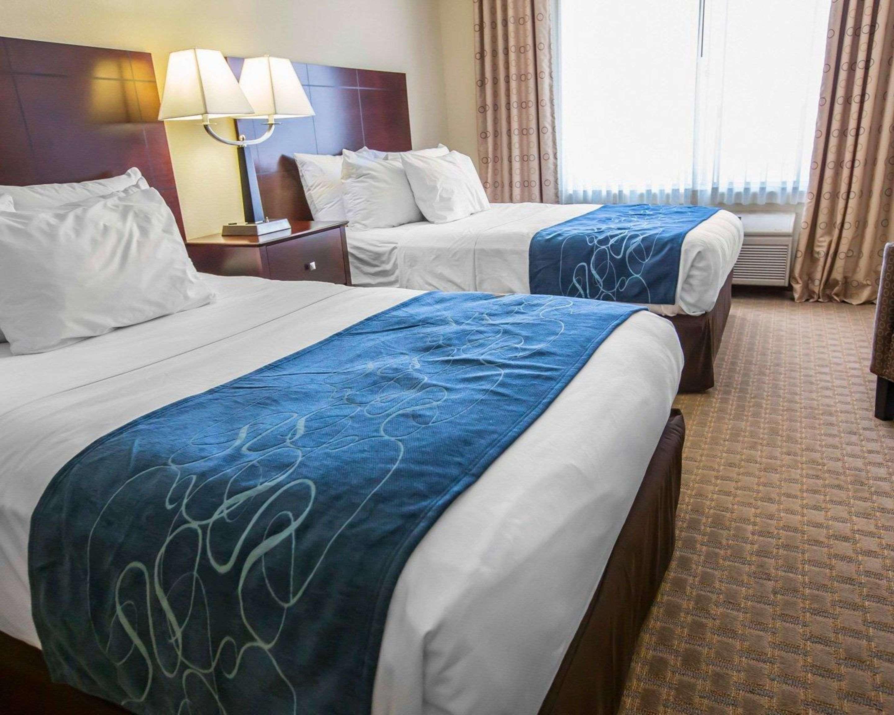 Comfort Suites University Area Notre Dame-Саут-Бенд Екстер'єр фото